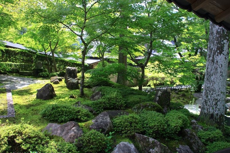 永源寺 4