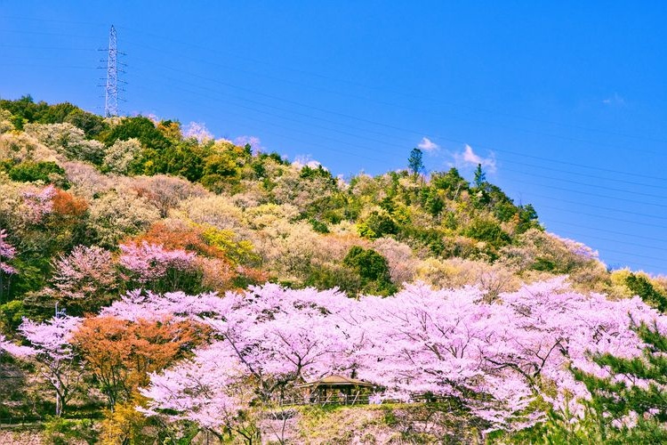 永樂水壩 (Eiraku Dam)