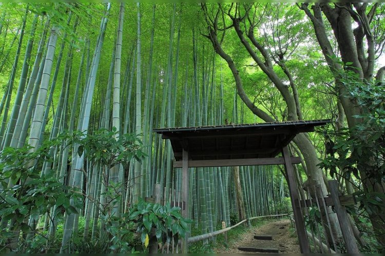 에이쇼지 (Eisho-ji) 2