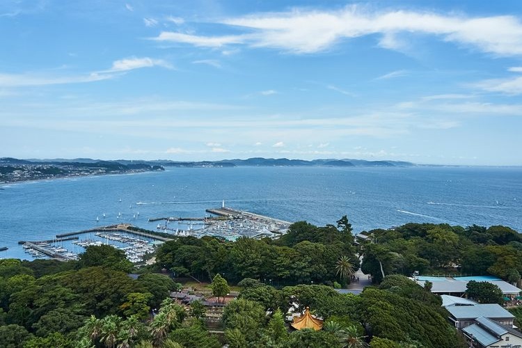 Jardín Botánico Samuel Cocking - Enoshima