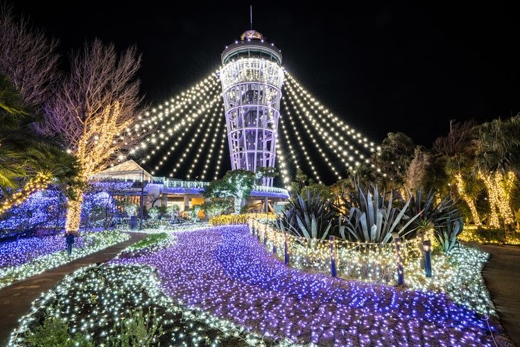 Jardín Botánico Samuel Cocking - Enoshima 3