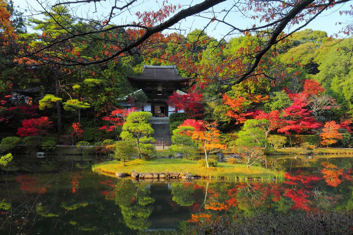 圆成寺