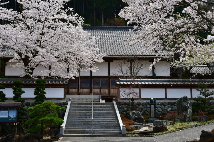 圆融寺 3