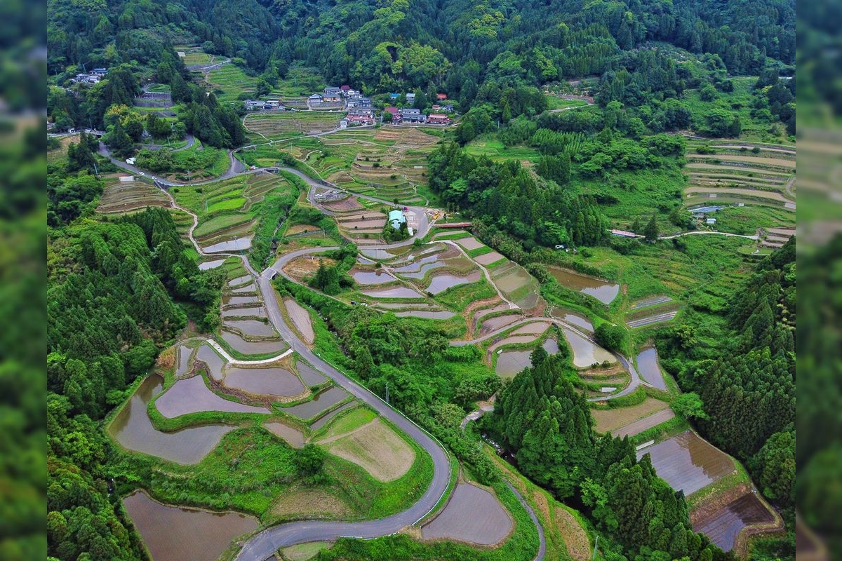 นาขั้นบันไดเอริยามะ (Eriyama Rice Terraces)