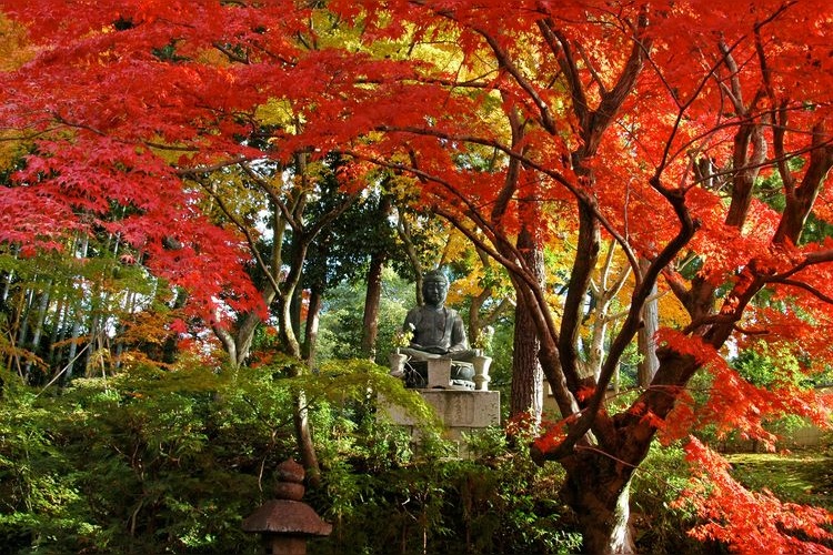 榮攝院