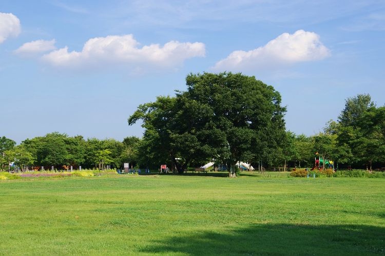 フラワーパーク江南（国営木曽三川公園） 2