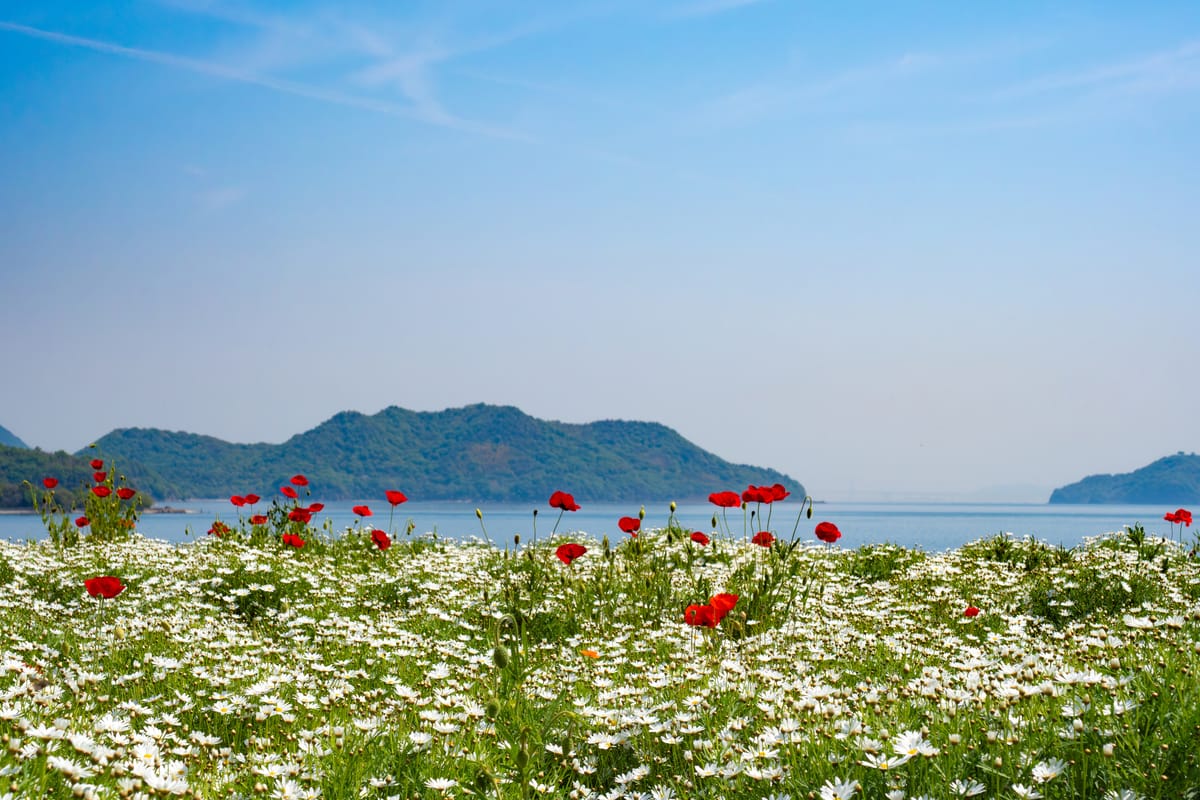 Flower Park Urashima