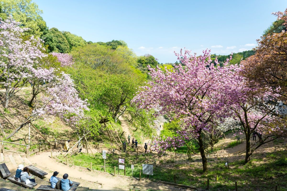 Tama Forest Science Garden