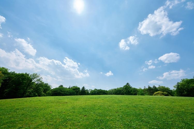สวนฟุจูโนะโมริ (Fuchu no Mori Park)