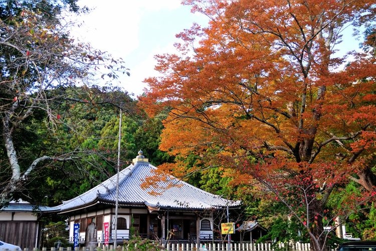 후다라쿠산지(補陀洛山寺)