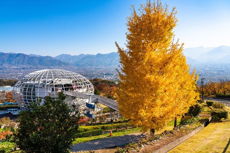 笛吹川水果公园