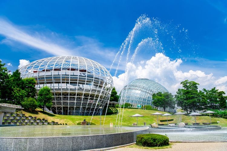 笛吹川水果公园 6