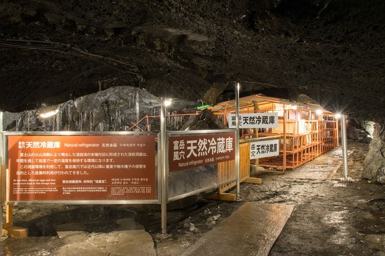 富岳風穴 (Fugaku Wind Cave)