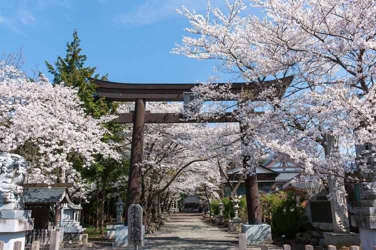Fuji Omuro Sengen Jinja Shrine 3