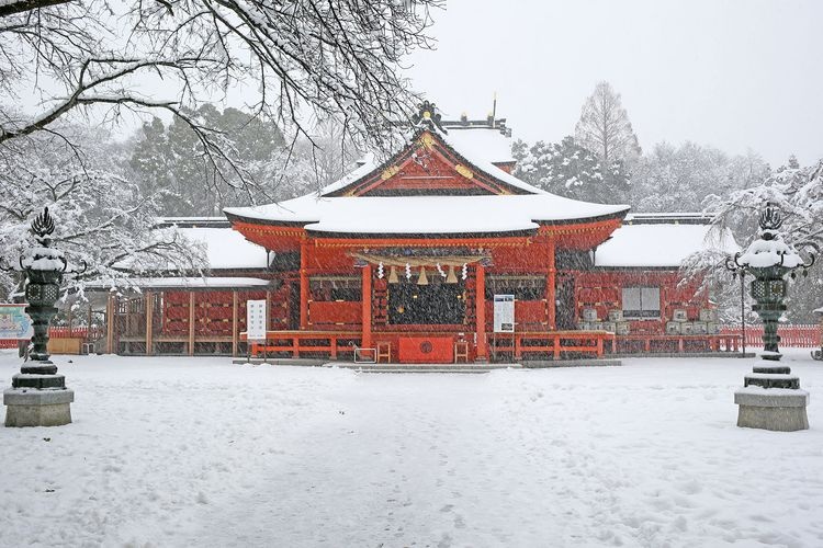 富士山本宫浅间大社 2