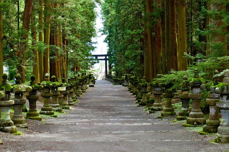 富士山本宫浅间大社 3