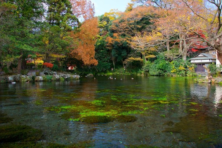 富士山本宫浅间大社 8