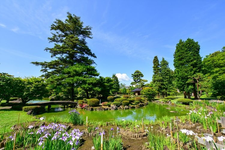 Fujita Memorial Garden 2