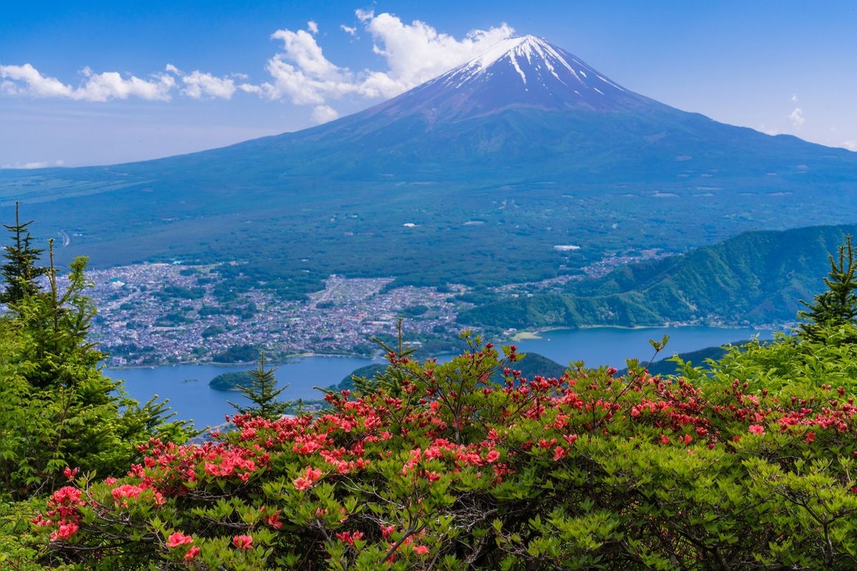 FUJIYAMA Twin Terrace