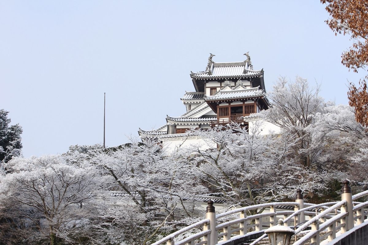 Château de Fukuchiyama