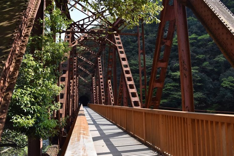 Fukuchiyama Line Abandoned Railway Track 3