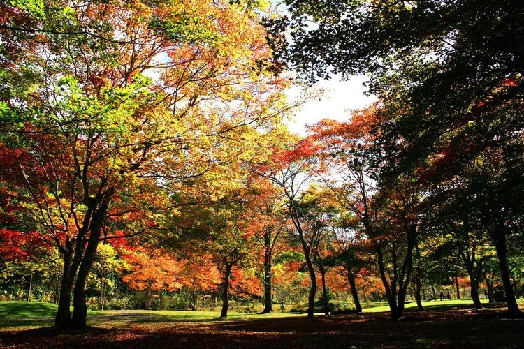 福原山庄 2