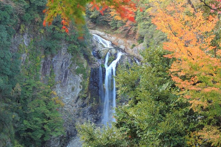 福貴野の滝 3