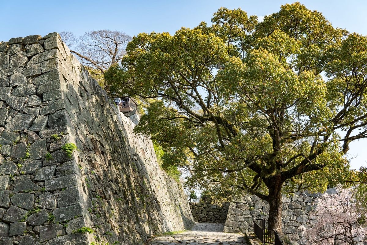 Fukuoka Castle Ruins (Maizuru Park)