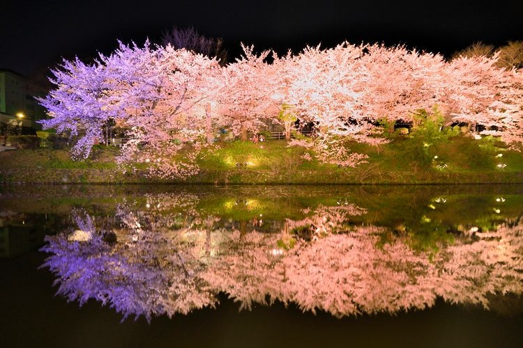 ซากปราสาทฟุกุโอกะ (สวนไมซึรุ) 2