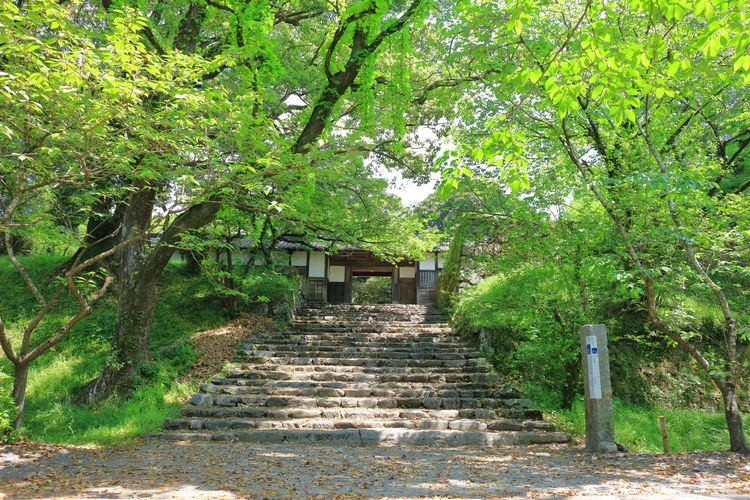 福岡城跡（舞鶴公園） 6