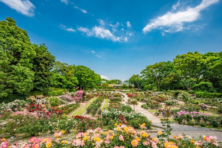 Fukuoka City Zoo y Jardín Botánico