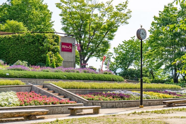Fukuoka City Zoo y Jardín Botánico 2