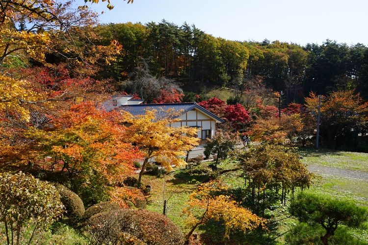 福泉寺 (Fukusen-ji) 2