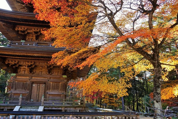 福泉寺 (Fukusen-ji) 3