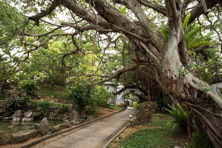 Fuzhouen Garden