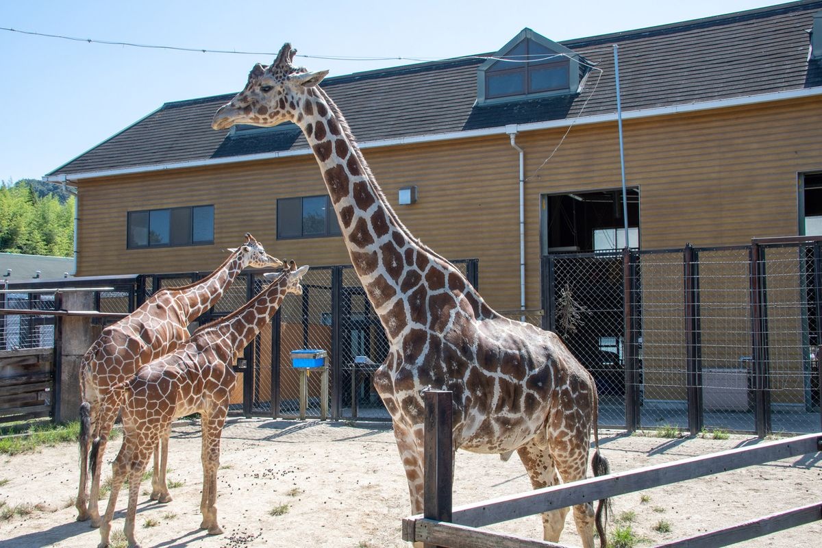 Takao Fukuyama Zoo (Fukuyama City Zoo)