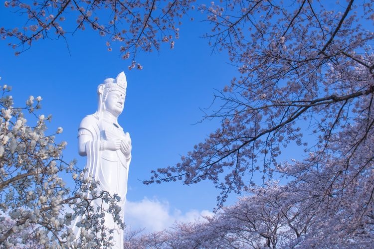 Funaoka Castle Ruins Park 2