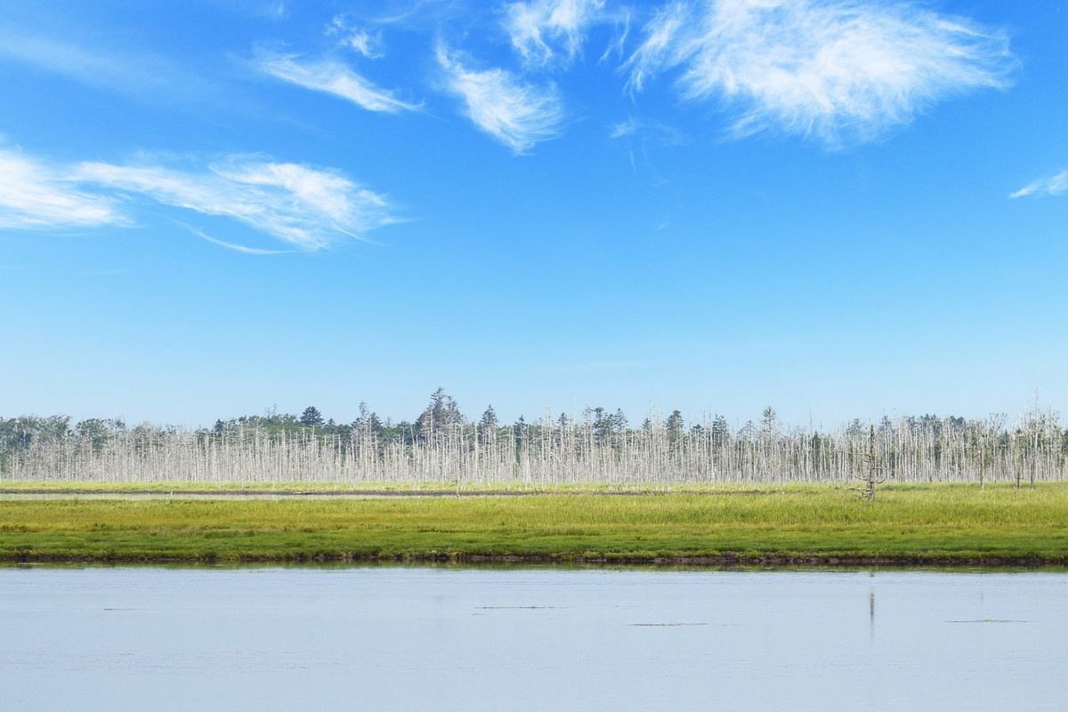 Furenko Lake