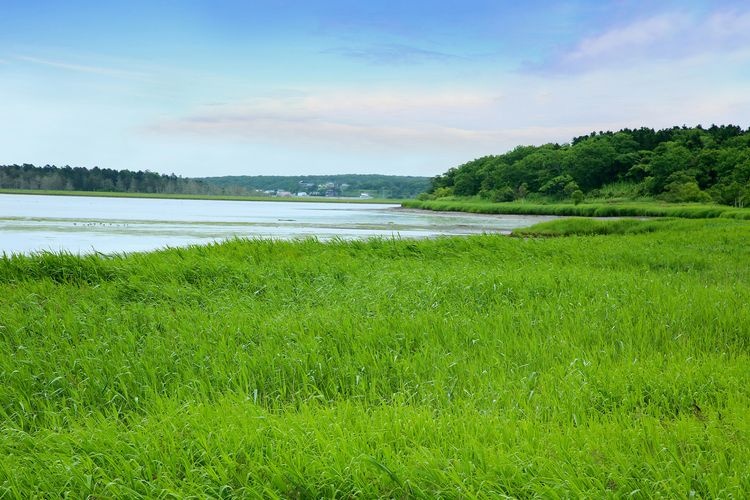Furenko Lake 2
