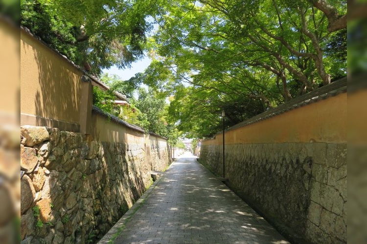 Koe-koji (Chojofu Burgstadt)