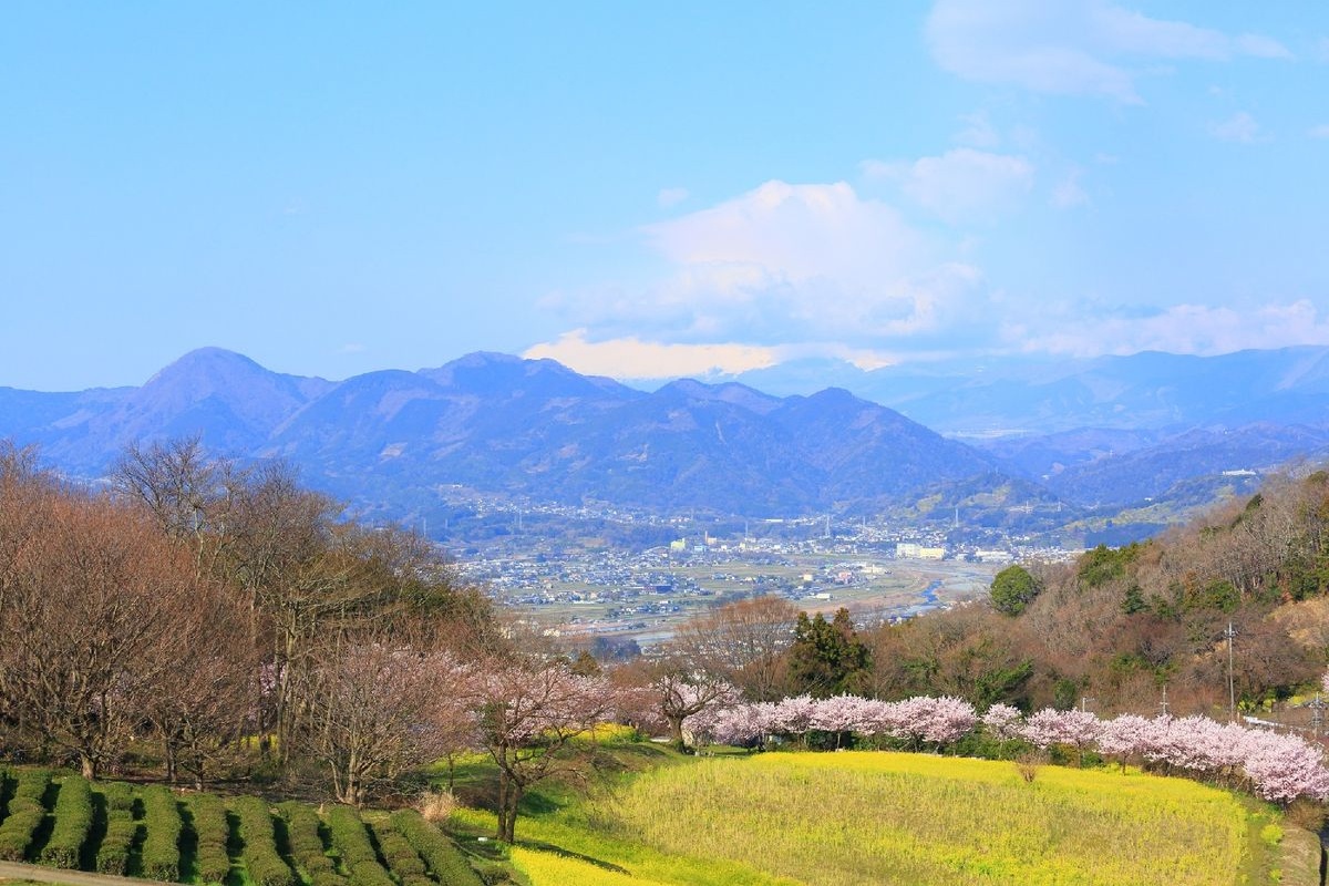 ふるさと農園四季の里「蜂花苑」