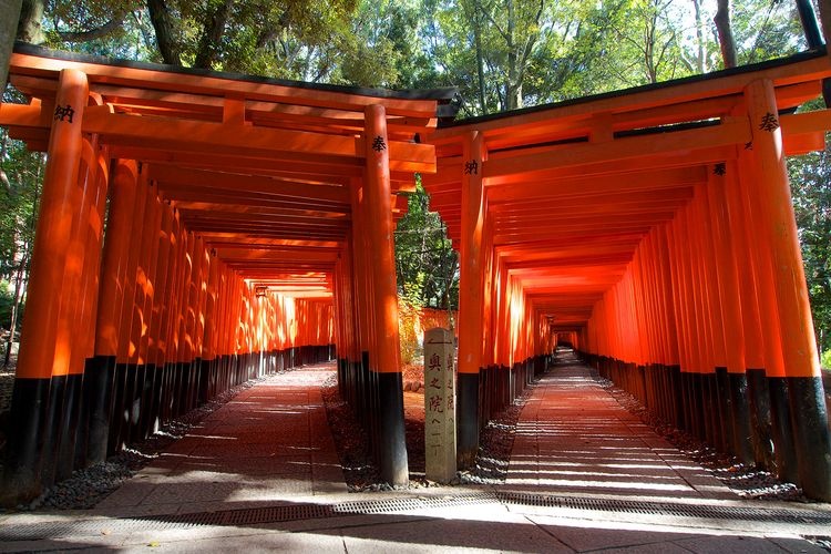 Fushimi Inari Taisha 6