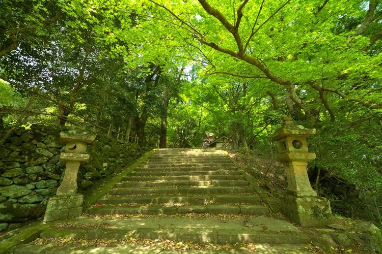 วัดวานิบุจิ (Wanibuchi-ji) 2