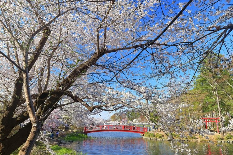 臥竜公園