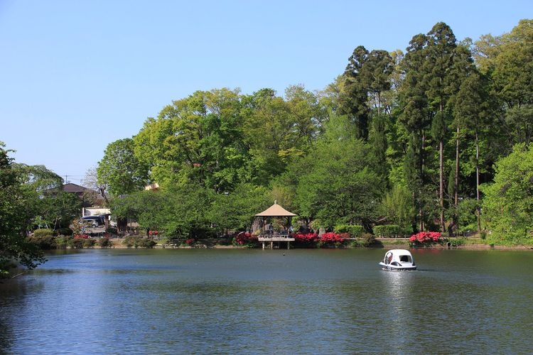 臥竜公園 4