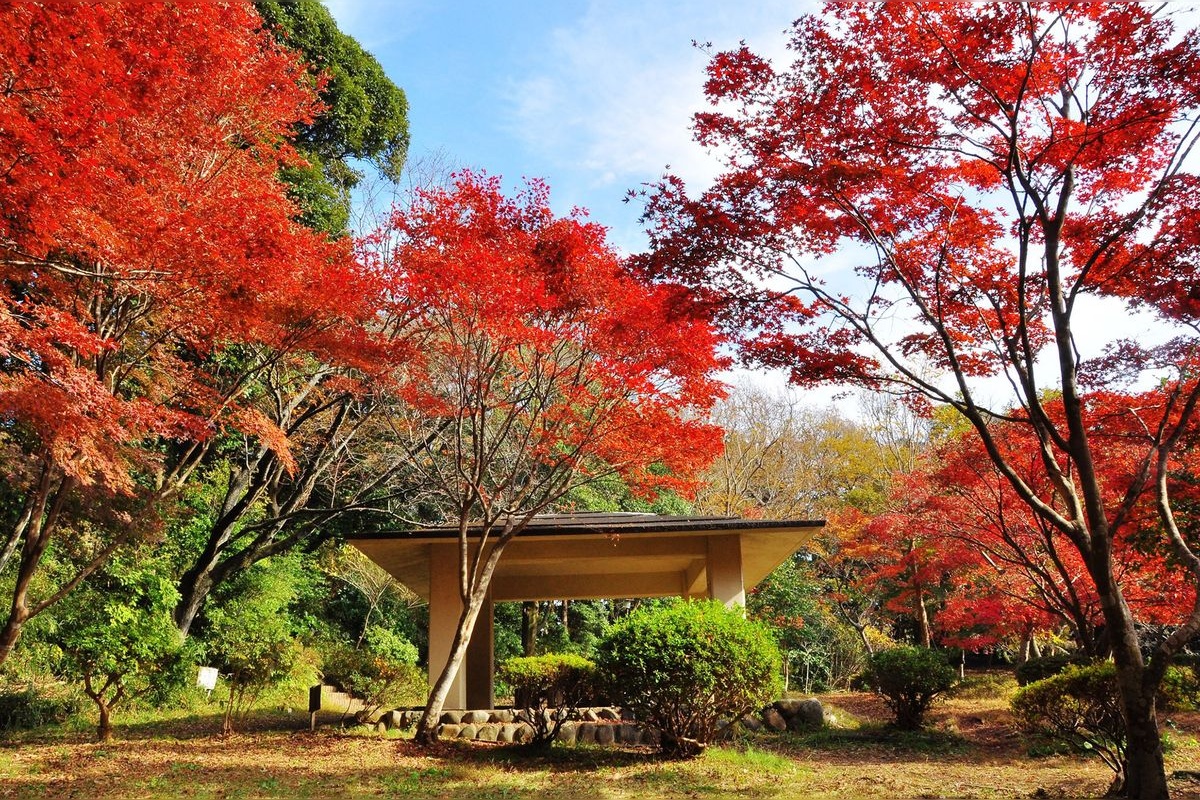 Công viên Genjiyama