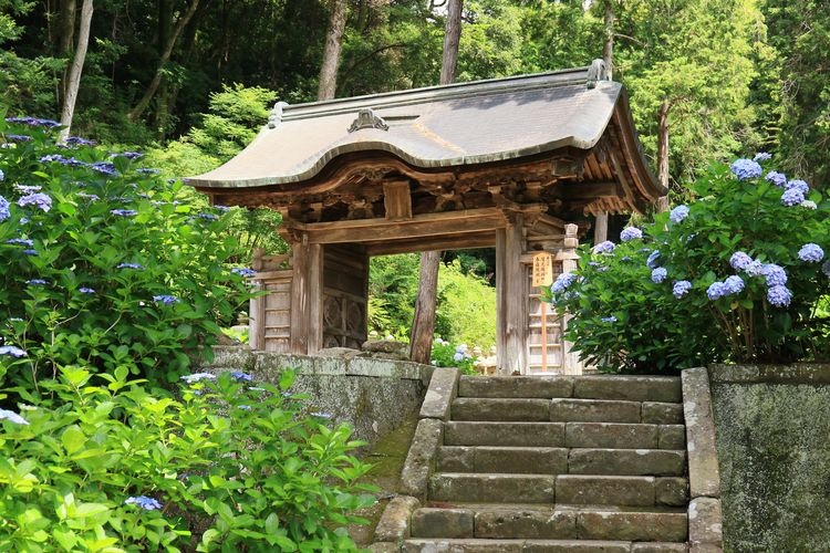 Gessho-ji 3