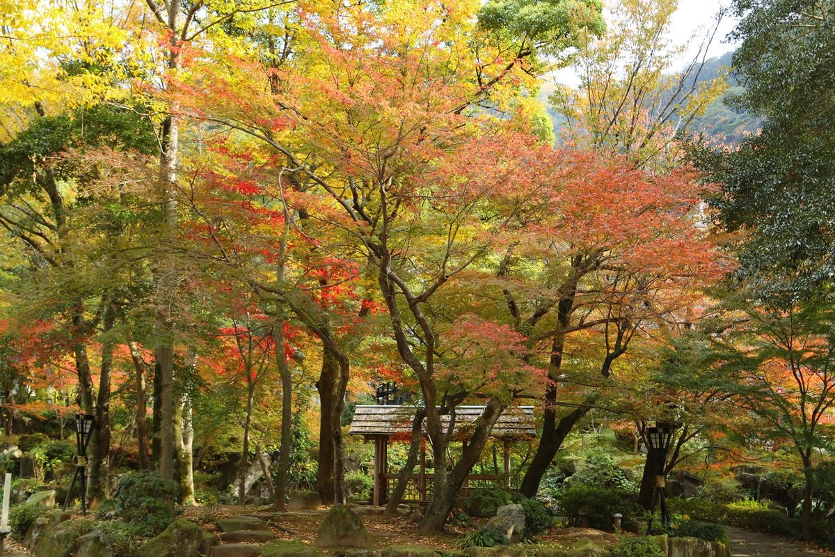 Gifu Koen