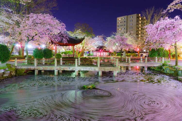 Gifu Koen 2