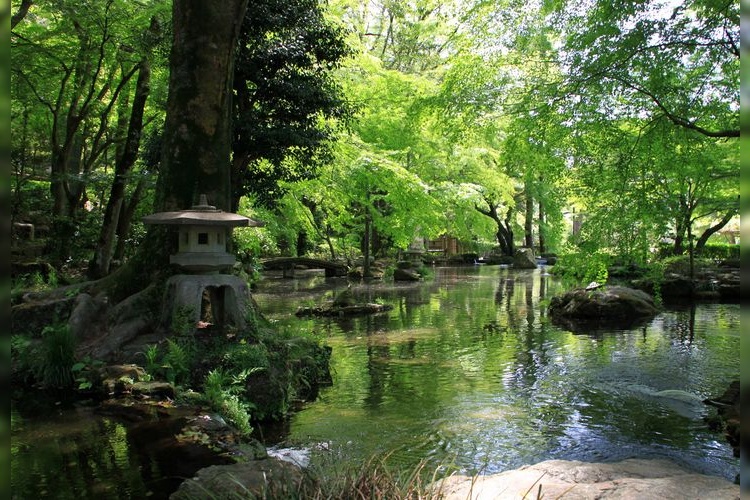 Gifu Koen 3